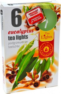 phoca_thumb_l_eucalyptus.jpg