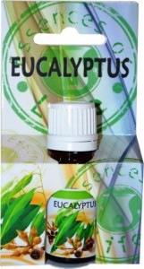 phoca_thumb_l_eucalyptus-op.jpg