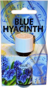 phoca_thumb_l_blue-hyacinth-op.jpg